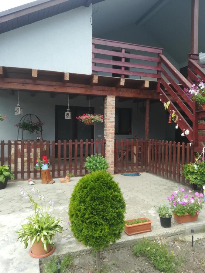 Вілла Casa Ricciotti Tritenii de Jos Екстер'єр фото